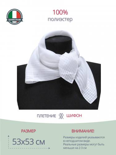 Платок белого цвета с каймой 845921